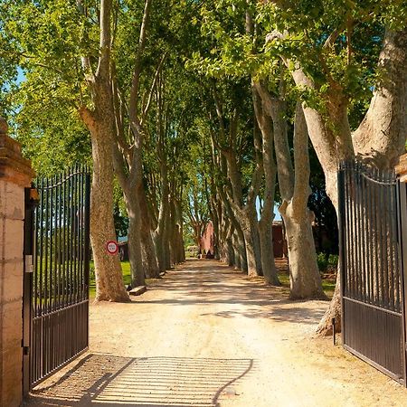Domaine De La Baratonne Bed & Breakfast La Garde  Exterior photo